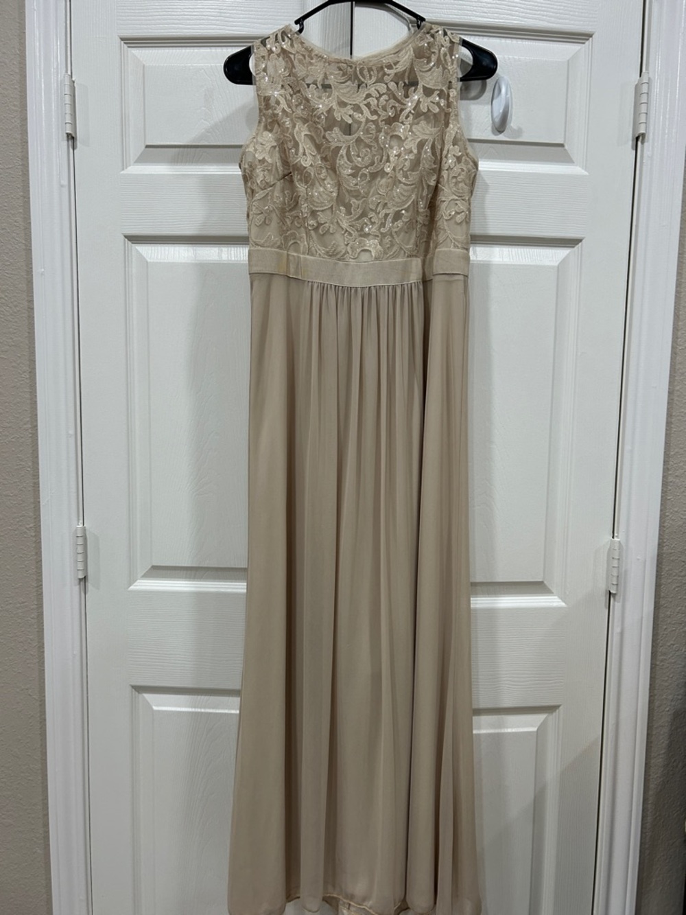 Adrianna Papell Lace & Chiffon Evening Dress in Soft Nude